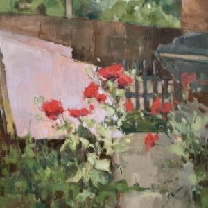 Poppies and Kingspan